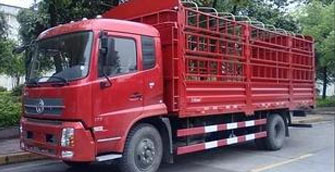 构建海运联运新枢纽 打通国际物流新通道